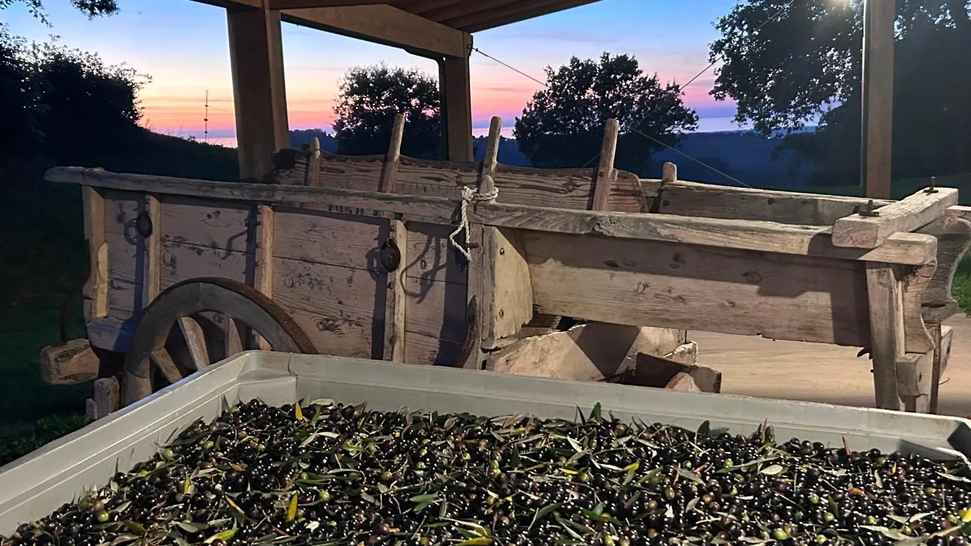 Εξοχικό σπίτι Agriturismo Colle Donatucci Castagneto Carducci